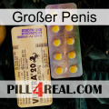 Großer Penis new06